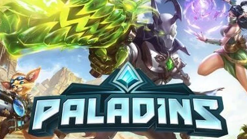 Jaquette de Paladins