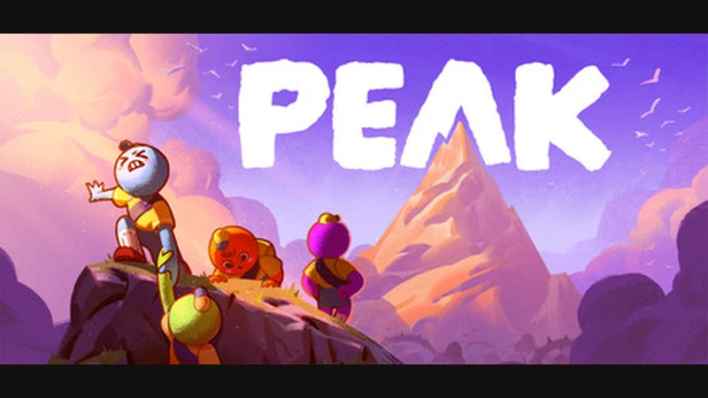 Jaquette de PEAK